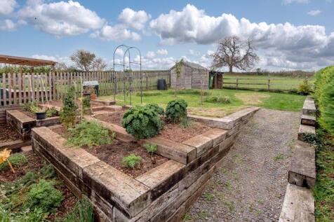 Kitchen garden/orchard
