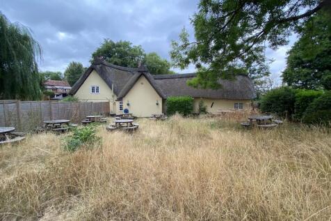 Rear beer garden.jpg