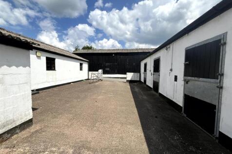 External yard 2.jpg