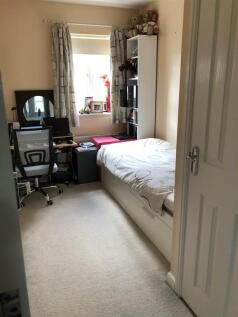 Single Bedroom / Study