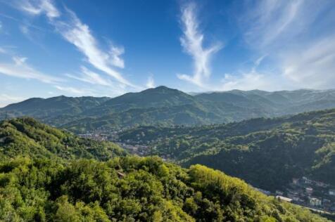 Mountain Views