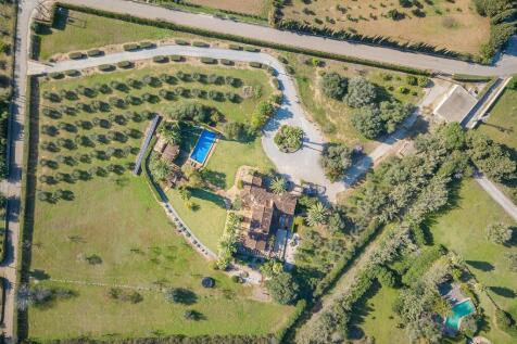 Aerial (1)