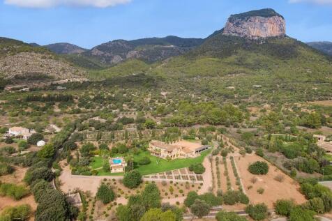 Aerial (3)