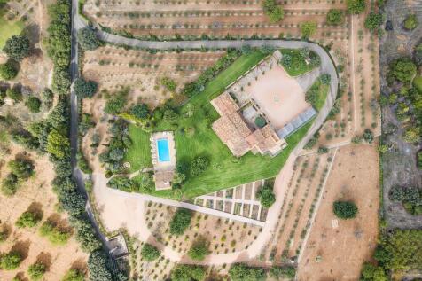 Aerial (9)
