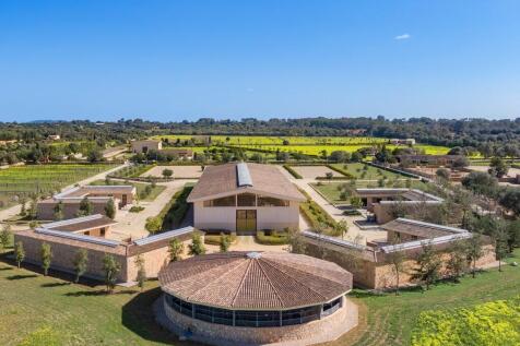 Aerial (14)