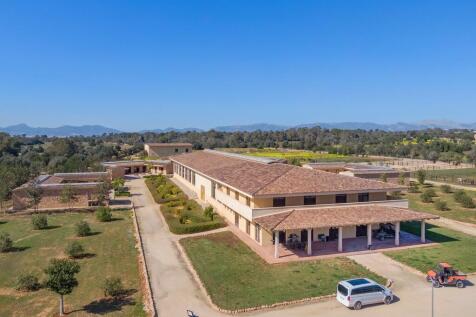 Aerial (18)