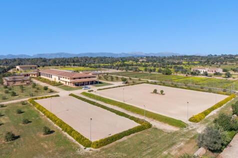 Aerial (9)