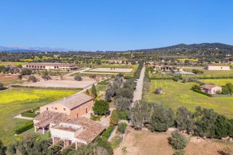 Aerial (11)