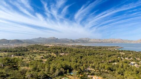Aerial (3)