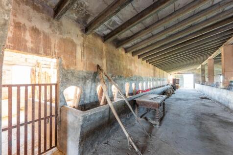 bodega-establo (5)