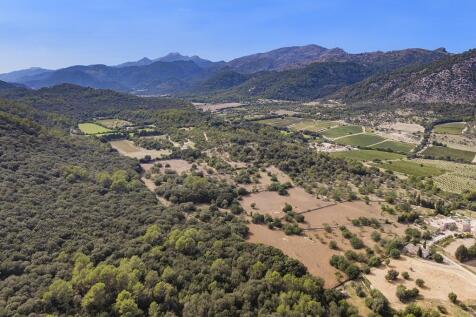 Aerial (6)