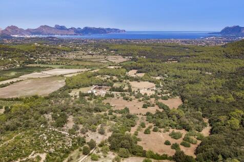 Aerial (9)