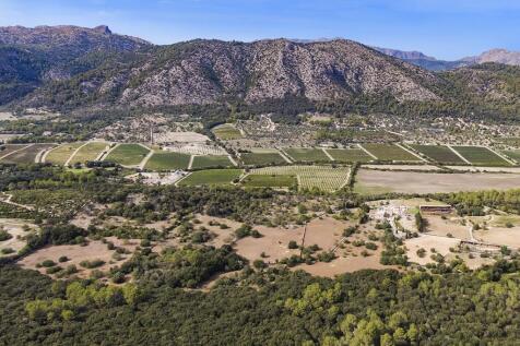 Aerial (13)