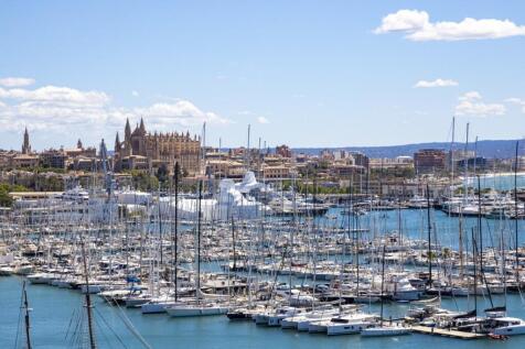 Palma