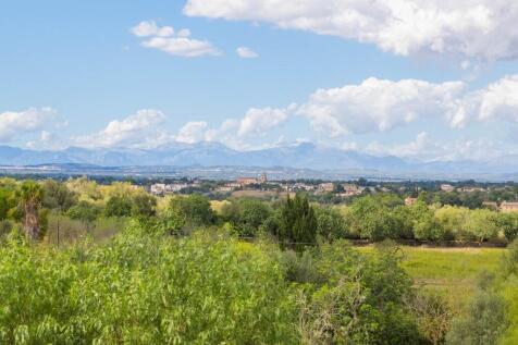 View (2)