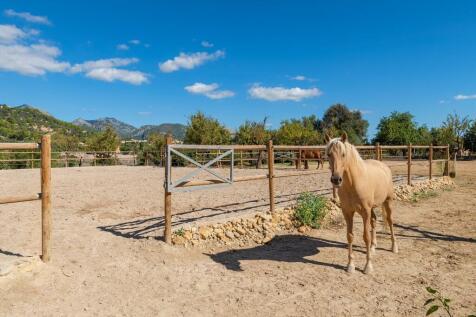 Paddock (2)