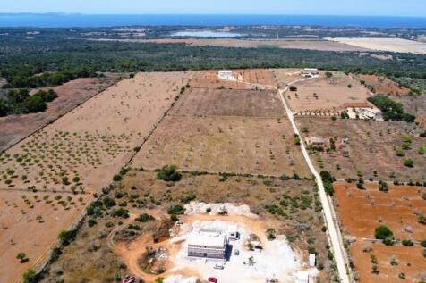 Aerial (7)