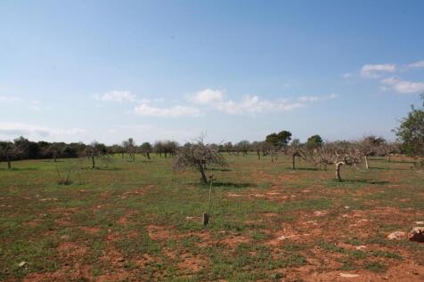 Land (1)