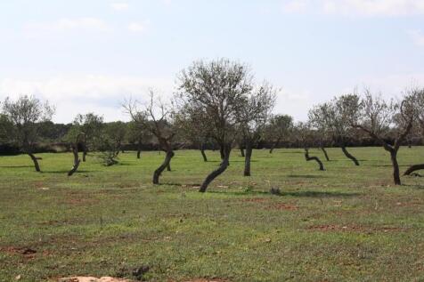 Land (2)