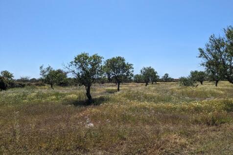 Land (10)