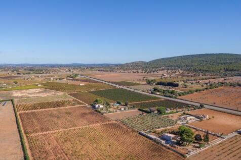 Aerial (5)