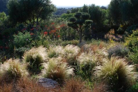 Gardens (3)