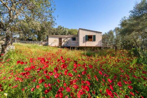 Guest House (2)