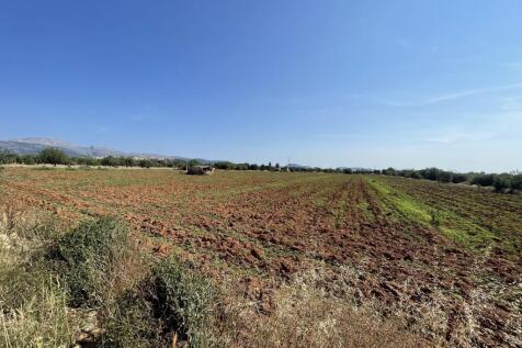 Plot (1)