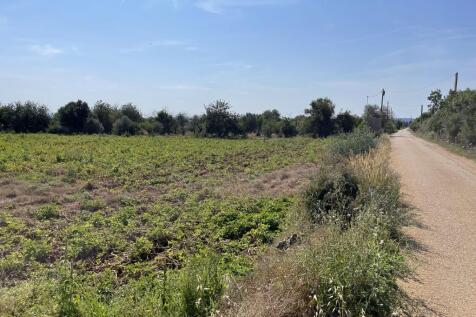 Plot (6)