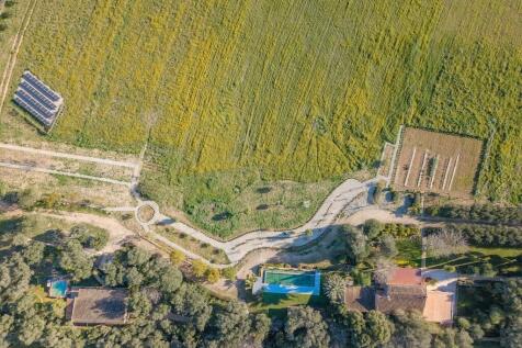 bird view