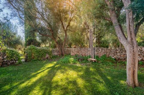 garden (2)