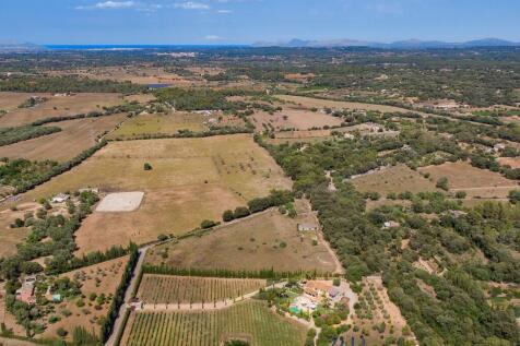 Aerial (2)