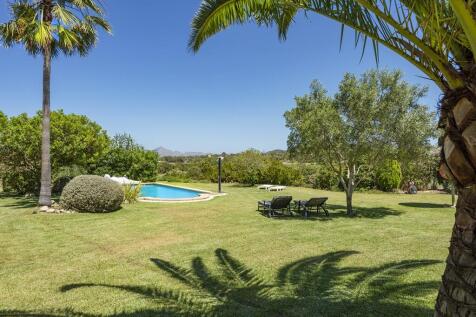 Garden (2)