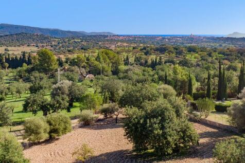Aerial (2)