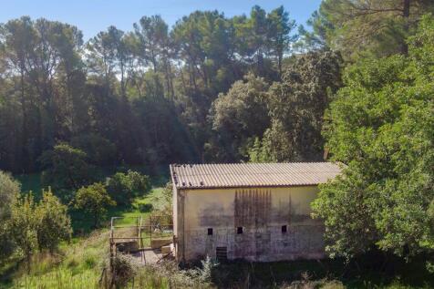 Aerial (11)