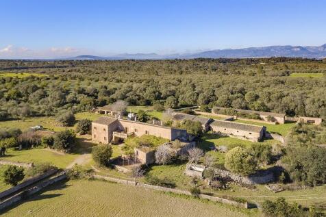 Aerial (7)