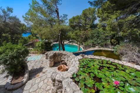Pond and Pool