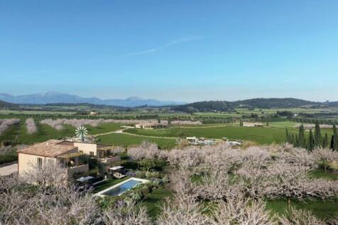 Aerial (4)