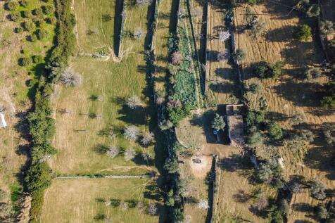 Aerial (9)