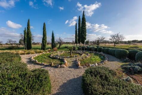 garden (3)
