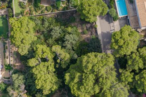 Aerial (1)