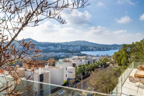 View (2)