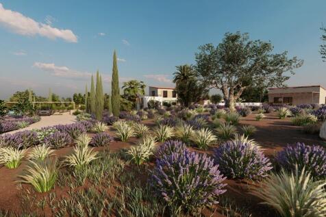 Garden (1)