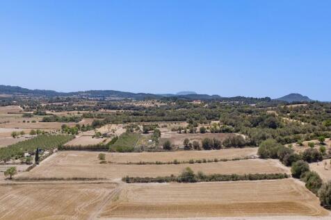 Aerial (9)