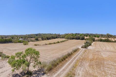 Aerial (8)