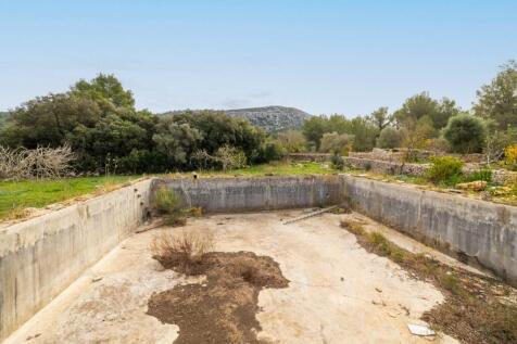 Safareig (2)