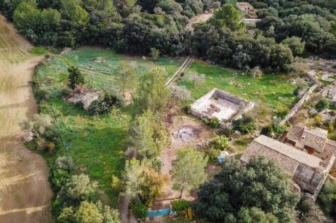 Aerial (1)