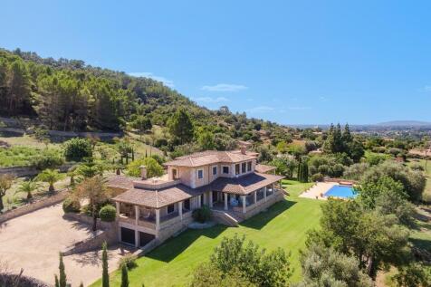 Aerial (1)