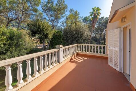 Upper Terrace