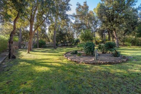 Garden (3)
